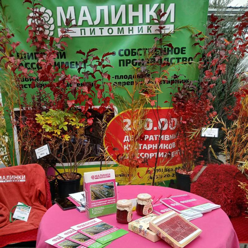 Сотрудники питомника приняли участие в выставке «Кооперация питомников»