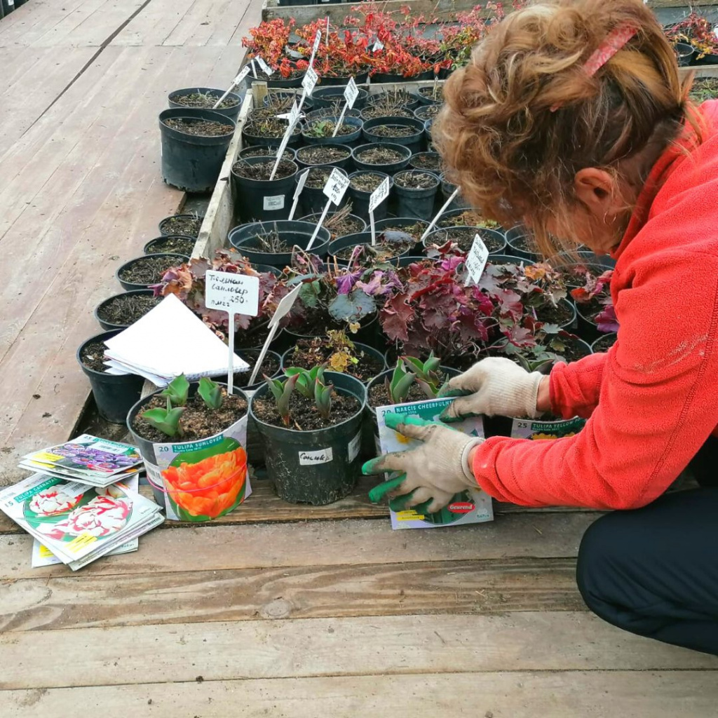 Открытие питомника растений Малинки