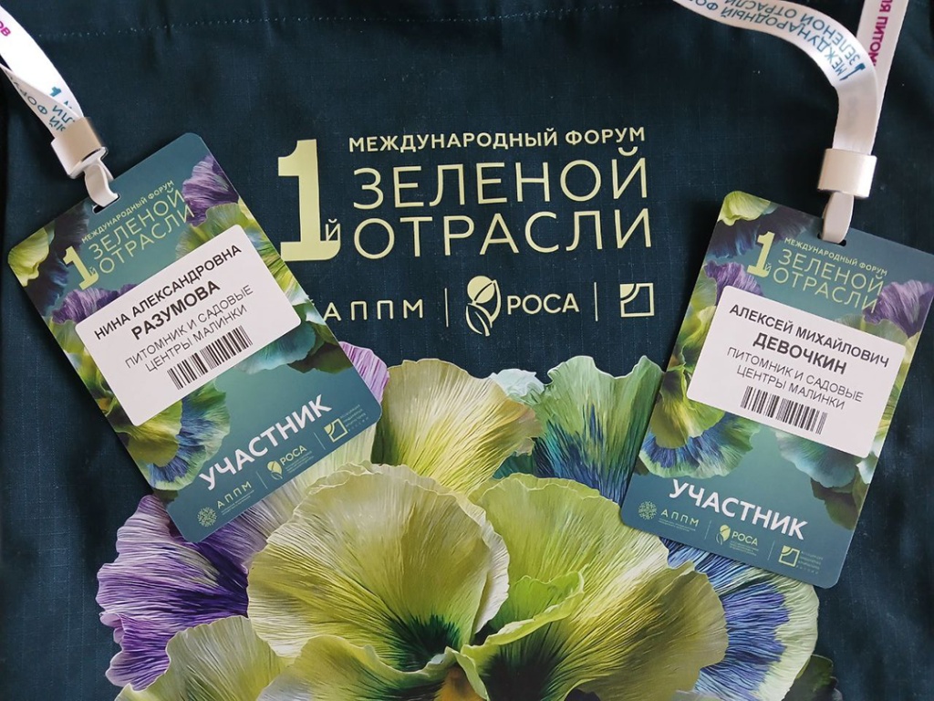 IMG_20260216_114628_098 (1).jpg IMG_20260216_114628_098 (1).jpg