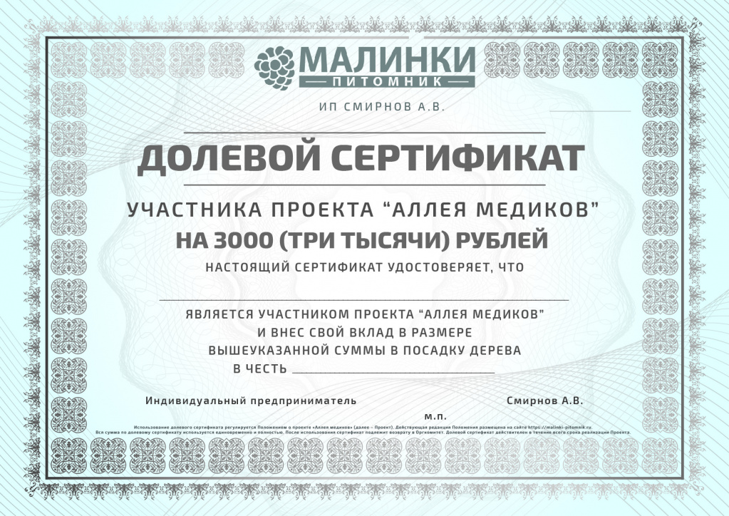 Сертификат на 3000 рублей. Сертификат долевого участия. Сертификат на газонную траву. Сертификат на 3000 рублей картинка.