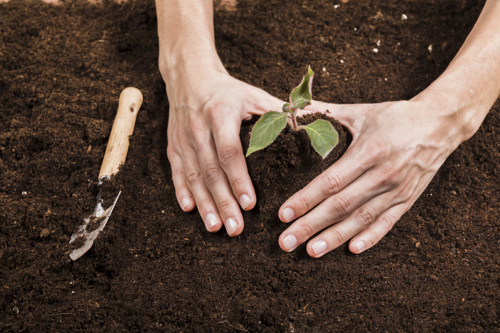 gardening-concept-with-female-hands.jpg gardening-concept-with-female-hands.jpg