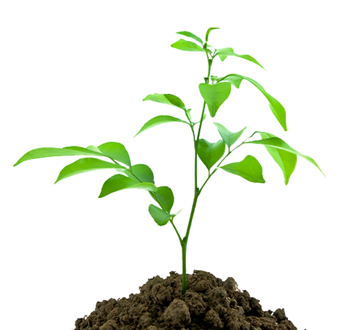 Наши садовые центры открыты. Ждём Вас!