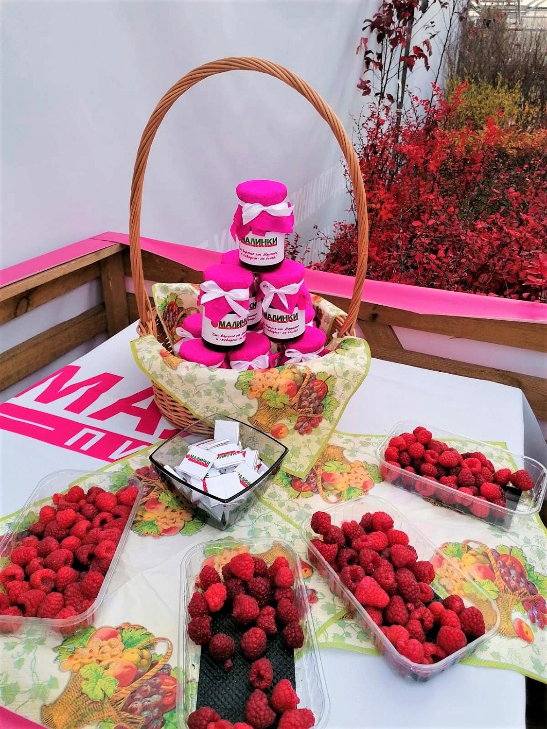 Выставка "Кооперация питомников 2021" открылась!