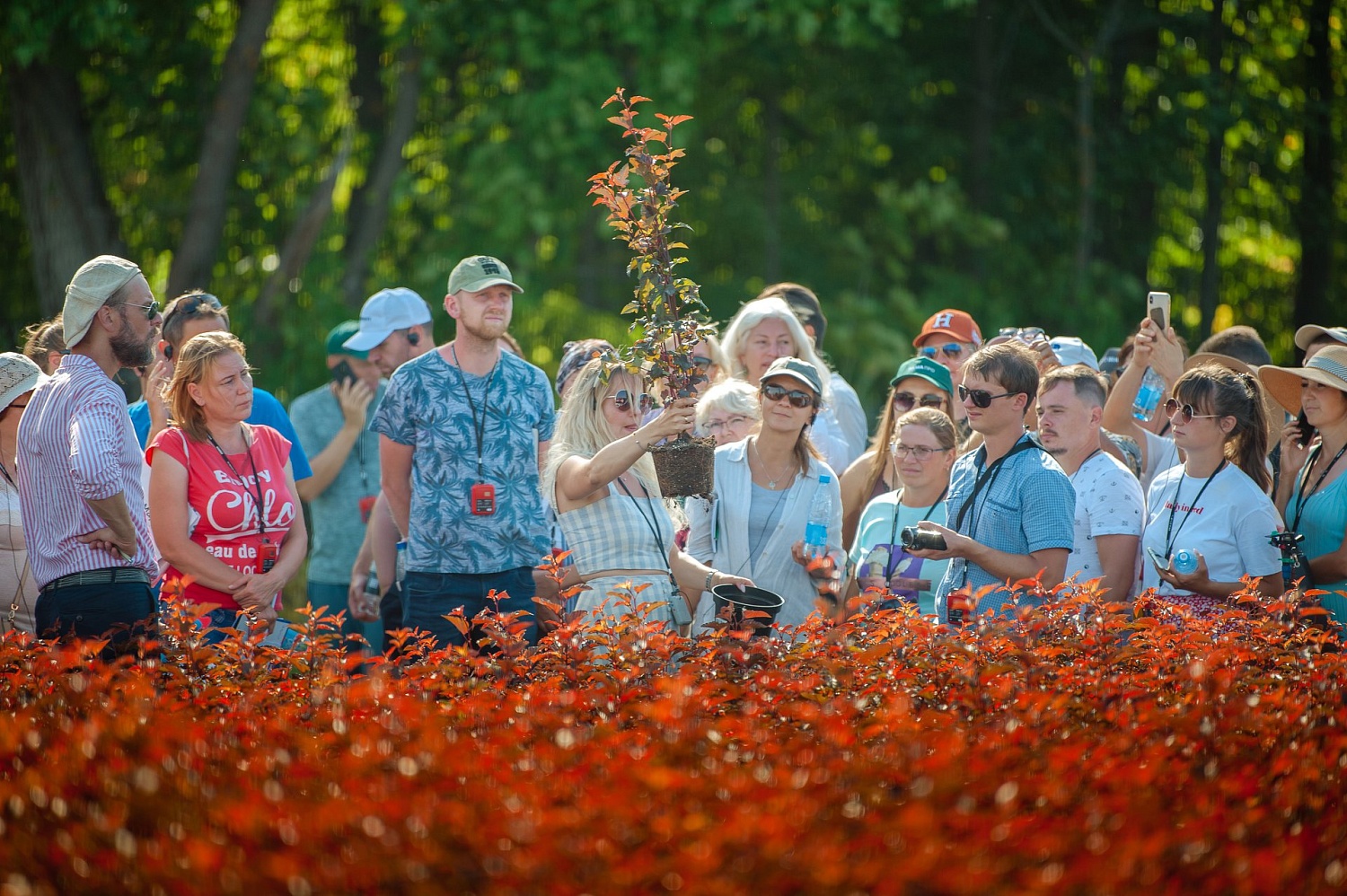 Обзор мероприятий питомника 